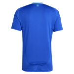 MAILLOT ARGENTINE EXTERIEUR COPA AMERICA 2024 – Image 2