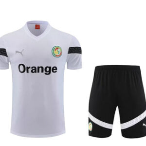 TRAINING ÉTÉ HAUT/BAS SENEGAL 2022-2023