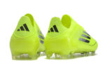 F50 – Image 3