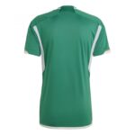 MAILLOT ALGÉRIE EXTÉRIEUR – Image 2