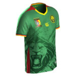 MAILLOT CAMEROUN CAN 2025 DOMICILE – Image 3