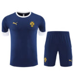 TRAINING PORTUGAL 2025/2026